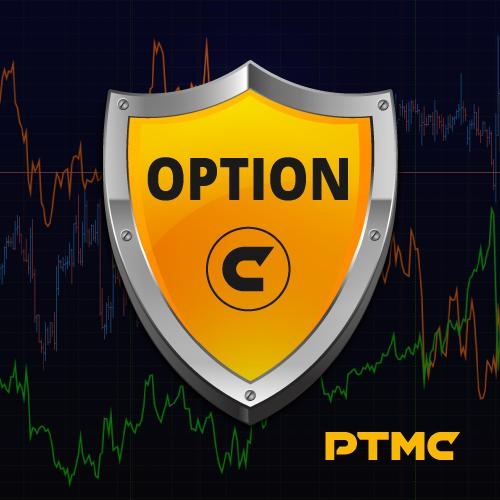 What is an exchange option: simple explanation